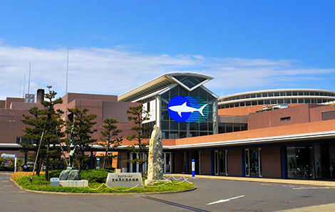 アクアワールド茨城県大洗水族館